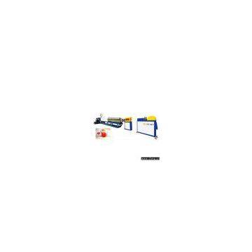 Sell PE Physical Foamed Net Production Lines