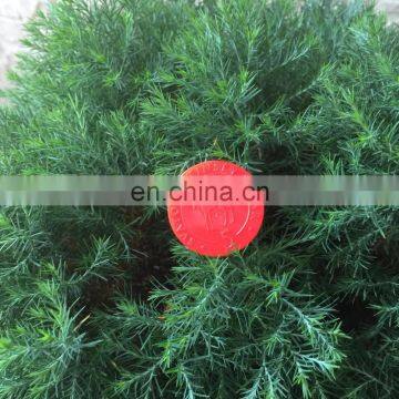 SGS Printing the Logo Shopping Trolley Plastic PS Fruit Coins photo-3