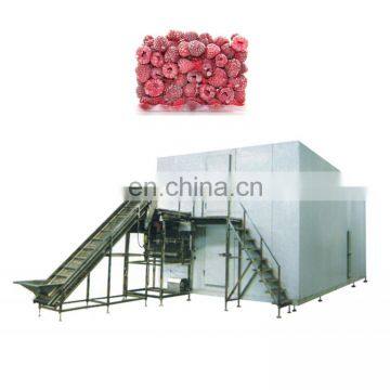 Advanced China Wholesale IQF Machine Flash Freeze Food Equipment