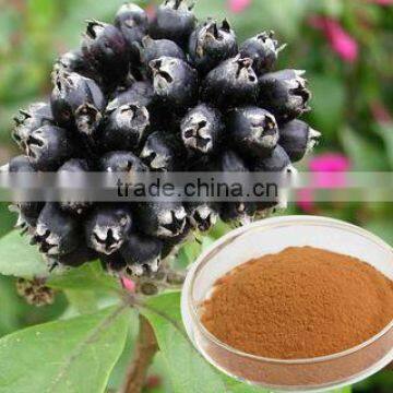 Siberian Ginseng Extract