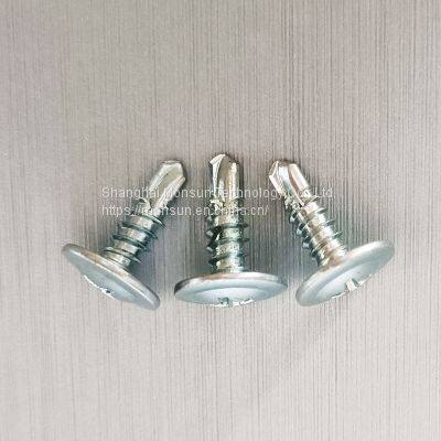 Wafer Head Screws Sheet Metal Screws Self Drilling Screws Drill Bit Point Tek Screws Supply