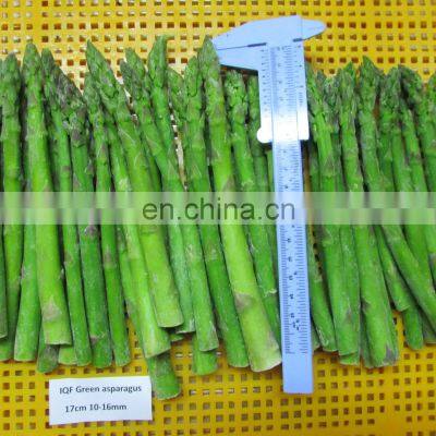 Sinocharm 2022 New Crop Fresh Green Asparagus IQF Frozen Green Asparagus photo-4