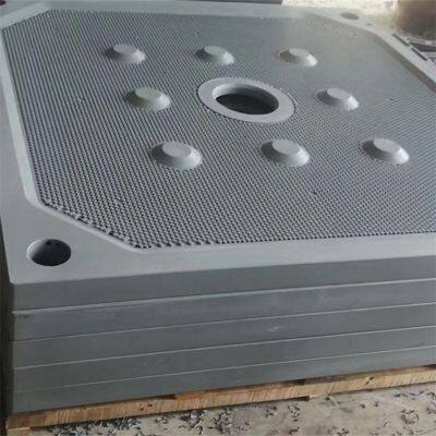 High Quality PP Diaphragm Filter Plate For Membrane Filter Press photo-2