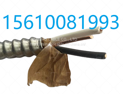 Solid Copper 12/2 Armoured Cables AC90 Cable