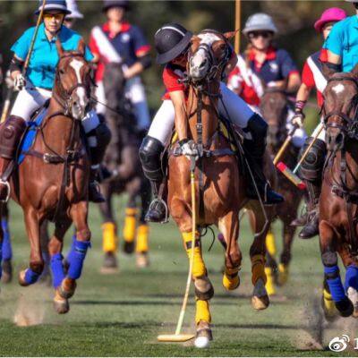 Equestrian Polo Scoring System photo-4