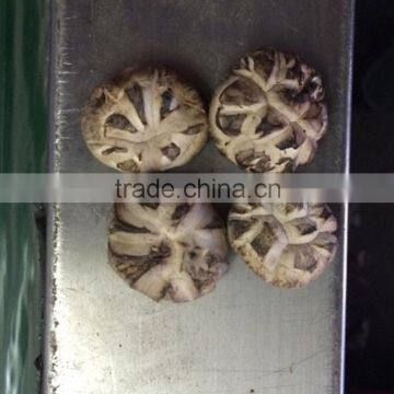 Dried Tea Flower Mushrooms photo-4