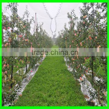 China Factory Supply High Quality HDPE Vegetable Nursery Hail Shade Net for Vegetables With Cheap Price