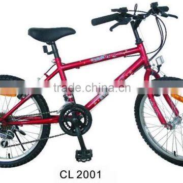 20" kids bike