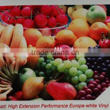 High Extension Performance Europe-White Adhesive Vinyl Matte surface