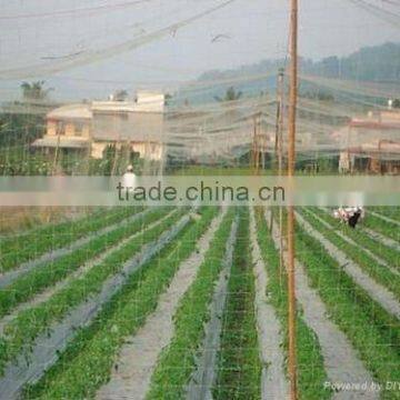 Bird Barrier Netting