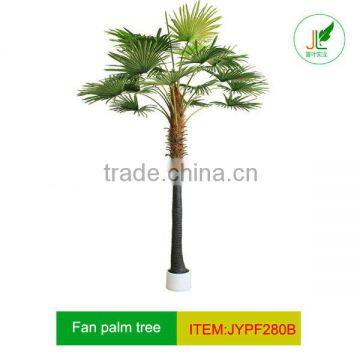 Special large fan palm tree for hall decorcation