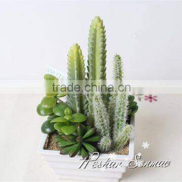 Hot selling garden decoration Artificial cactus bonsai with competitive price