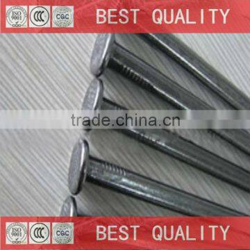 machine common iron nail