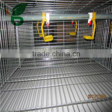 nipple poultry drinking system for chicken farm