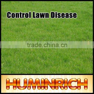 FAQ 15--How To Control Lawn Disease?