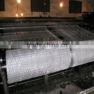 galvanized chicken wire mesh for plastering