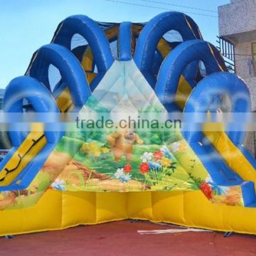 High quality cheap climbing up and sliding down/slide with climbing/inflatable dry slide