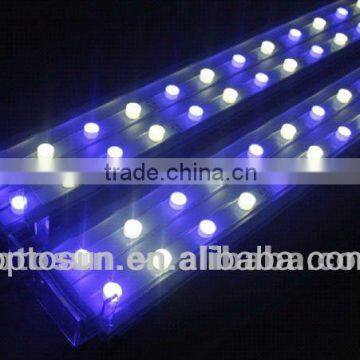 3w CREE led aquarium lighting