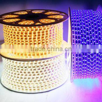 Chasing Led Rope Light High Quality High Brightness 5050/2835/5730 Led Strip Light 100m/50m/Reel Lightning With High Voltage Rgb photo-4