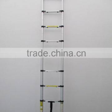 Scaffolding ladder