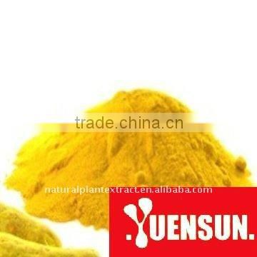 100% natural Curcuma Extract powder