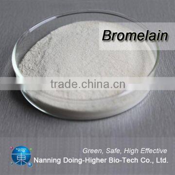 Hot Sale Natural Plant Enzyme Powder Extract Bromelain photo-2