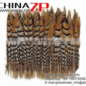 Leading Supplier CHINAZP Bulk Sale Good Quality 35-40cm Length Raw Natural Reeves Venery Pheasant Tail Feathers photo-2