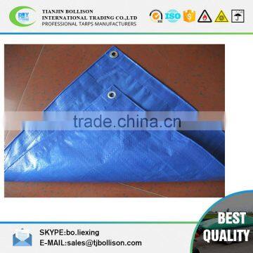 16' x 20' Blue Tarps Cut Size 5-mil Blue Poly Tarp