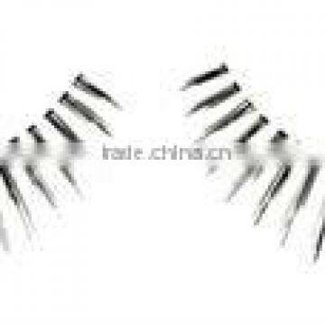 False Eyelash