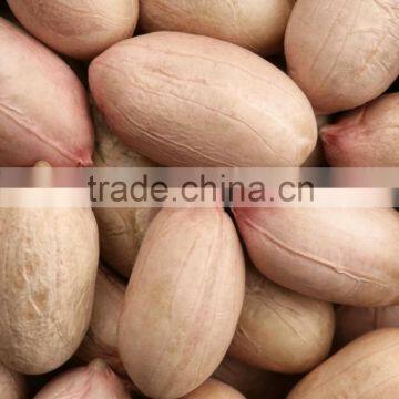 Java Peanuts