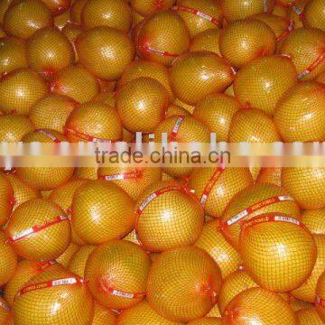 Chinese fresh honey pomelo