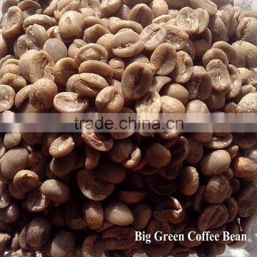 Arabica green coffee beans