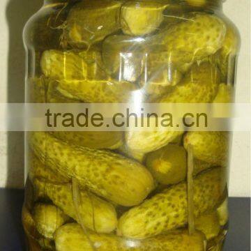 Pickled Cucumber in Glass Jar