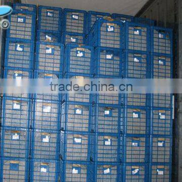 2015 New Crop Organic Fresh Chestnuts photo-5