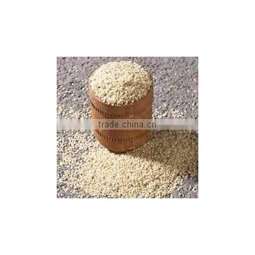 Hulled Sortex Sesame seeds-Indian Gujarat premium