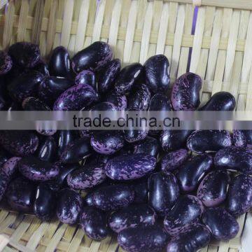 Big Black Speckled Kidney Beans Wholesale photo-2