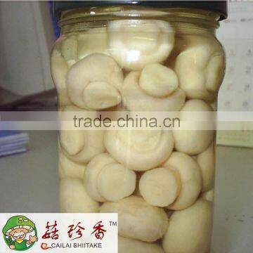 Canned Champignon Mushroom of Factory Price photo-4