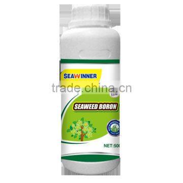 Seaweed Boron Liquid Organic Fertilizer