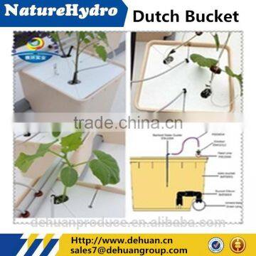 Commercial Hydroponics Tomatoes Dutch Grow Tank For Greenhouse
