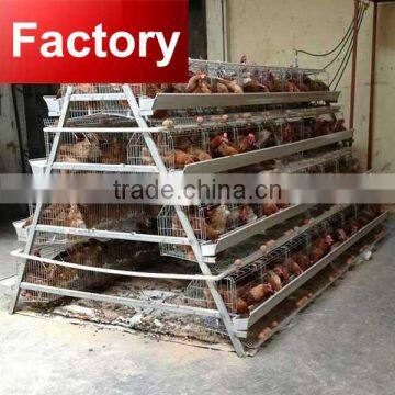 Factory New U type steel frame 3 tier chicken cage for Factorynzania Uganda poultry farm