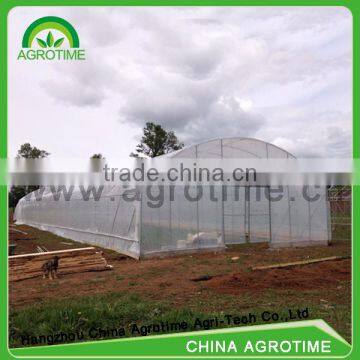 Single tunnel greenhouse invernadero economico para verduras