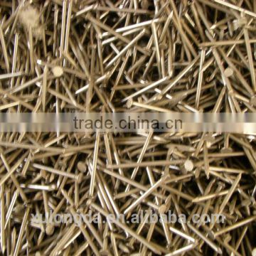 commom round iron nail|lardge iron nail|round head nail