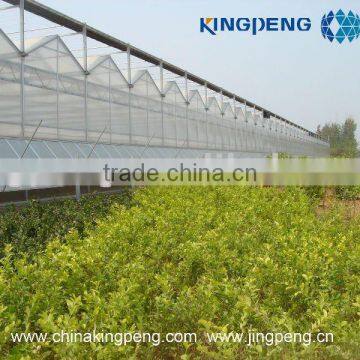 Polycarbonate Sheet Farming Greenhouse