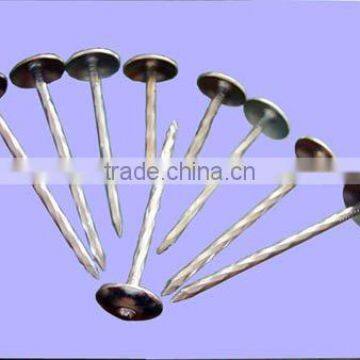New Product Roofing Nail Made in China photo-3