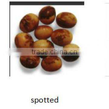 Shenzhen CCD Red Bean Color Sorter/Sorting Machine With Competitive Price / Good After-Sale Service photo-2
