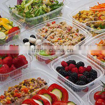 Disposable Blister Plastic Takeaway Takeout Hot Food Delivery Containers photo-3