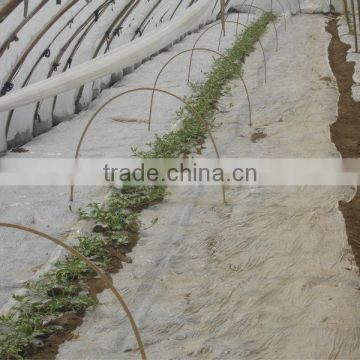 Anti-drip long life transparent Co extruded PE Cover Film PE mulch film for watermelon greenhouse