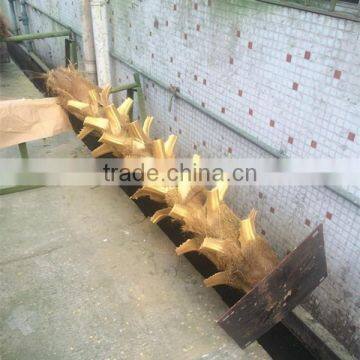 SJ2001207 New Arrival Golden Plastic Artificial Palm Fan Tree photo-3