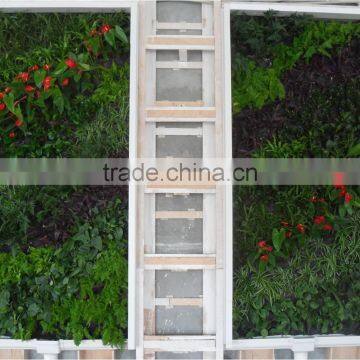 Fake Grass Wall Cheaper House Use (110X50cm) Artificial Wall Grass photo-4