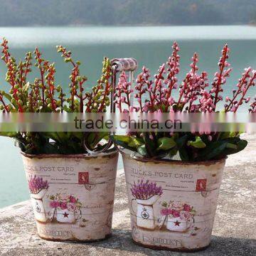 2 set metal flower garden plant pots set with a wooden handle